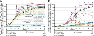 Transfer of membrane(s) matter(s)—non-genetic inheritance of (metabolic) phenotypes?